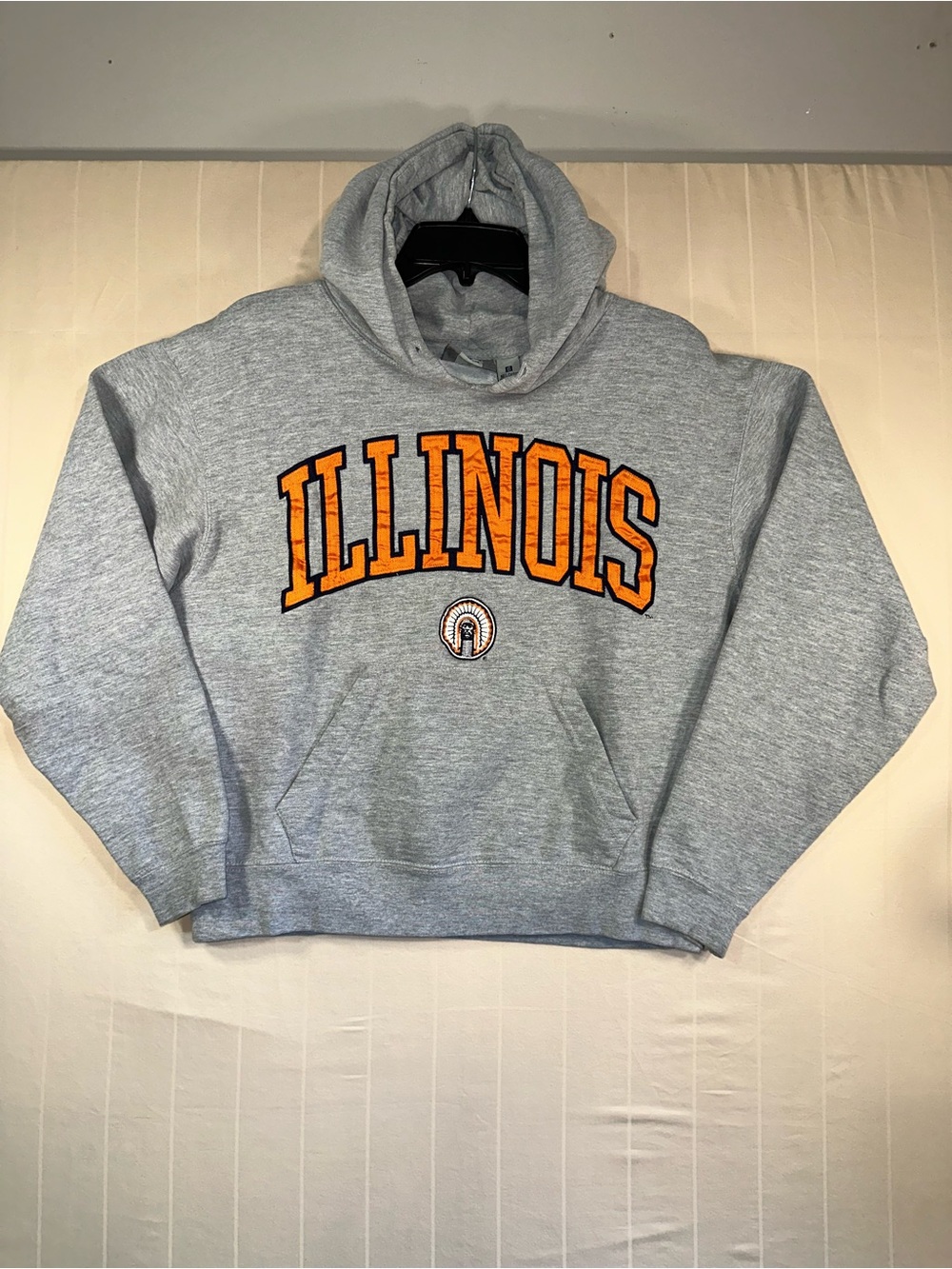 Vintage J. America University of Illinois Fighting Illini Hoodie Gray Small EUC